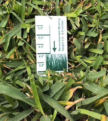 The unit is made of high impact plastic and can tell grass height in inches or millimeters. Simply mow a test area on the lawn and then push the bottom spike into the soil until the bottom of the unit come in firm contact with the soil. Look at the gauge and you can see the actual cutting height of the grass.