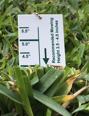 Turf-Tec Grass Lawn Height of Cut Gauge