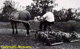 Horse powered triplex gang mower.
