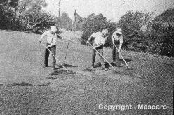 Thatch was always a problem for golf courses especially in the south. Hand raking with special rakes was the only way to control thatch.
