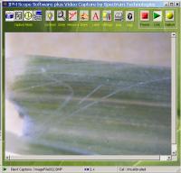 The Turf-Tec IPM Scope comes with all the software required to capture and archive your still images. The video upgrade bundle can be purchased separately* to provide the ability to capture your live videos and time lapse sequences.
