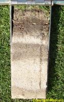 The Turf-Tec Mascaro Profile Sampler not only has an easy open hinge, but allows a full 7 inch deep sample to be taken from all soil types. 