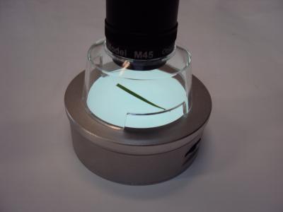 Now for the first time, Turf-Tec is offering a light table for the Macroscope 25X, 45X and 60X scope units. This versatile unit can be used with a 110 volt plug, with a USB power cord or with the internal rechargeable battery. The unit is strong but lightweight and offers a super bright LED with infinite levels of light illumination. 