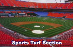 Click here to go to Sports Turf Managers Section. Sports field section. Find out how to assess problems like compaction and wear. In addition the pages will give solutions to many sports turf and athletic field questions.