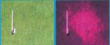 Identify Fusarium Patch with the Turf Stress Detection Glasses