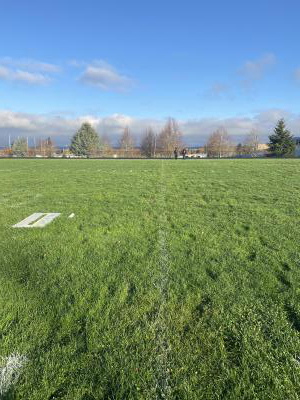 Before painting - worn and faded paint lines on athletic field are barely visible