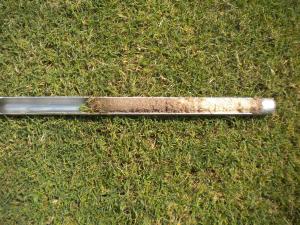The Tubular Soil Sampler is excellent for examining the soil for deep analysis. The specially designed cutting tip is ideal for turfgrass rootzones. Tubular Soil Sampler 36" with step can also be used for collecting soil samples for laboratory analysis. It is also useful in determining root depth and moisture content.