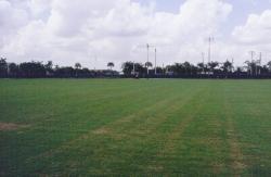 Miami Dolphins Training Camp, in Davie, FL.  The field had been renovated and new sod laid about two months before this photo was taken, the field had just been verti-cut in two directions.