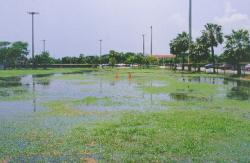 Two year old Athletic field at a South Florida University.  This is after a three inch rainfall occurred.  Water polo anyone?