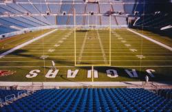 This is Alltel Stadium during the 2002 season.  It is always rated in the top five field by the NFL players fro playability on natural grass.