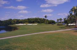 Key Biscayne Golf Course, Key Biscayne, FL a week before the Royal Caribbean Seniors tournament.  Carlos McKeon is Golf Course Superintendent.