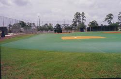 This is one of the practice fields at the Mets training camp.  This is the only artificial field there, consisting of an Astroturf infield.  All other practice fields are natural grass.