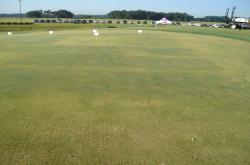 The following day brought field fours of the different experiments being done on turf in Gainesville at the new research facility in Citra, FL (Just south of Gainesville).  This is a fertilization study.