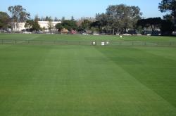 These are some of the intramural fields at Stanford University in Palo Alto, CA. 
