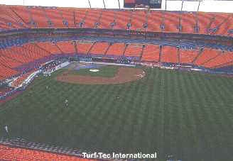 Sports Field - Pro Player Stadium - Marlins World Series 1997 - Sports Field Analysis Section.  The Following are Common Problems that Sports Turf Managers Face.
