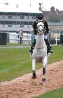 The Clegg Impact Tester is a professional instrument to determine hardness on sand and clay horse racing tracks