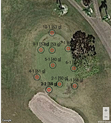 Clegg Impact Tester Bluetooth Mapping Example