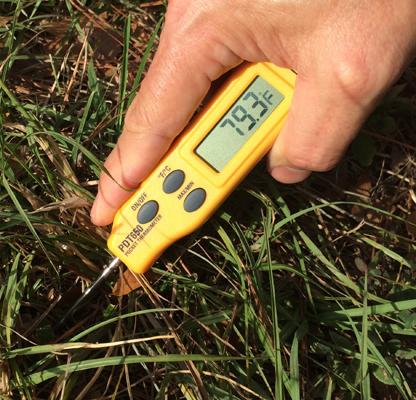 Waterproof Thermometer, T-Shaped, Robust and Heavy-Duty - PSE