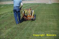 Tom Mascaro invents the Verti-puncher hollow tine aerifier. 