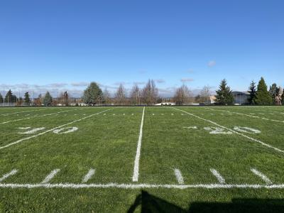 After using the Turf Stress Detection Glasses, field fully repainted - without re measuring or pulling strings including the hash marks! Also works well on logo areas without the need for getting stencils out