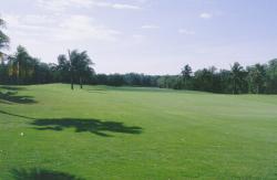 January 2000, Key Biscayne Country Club, Miami, FL., Carlos McKeon, Superintendent.  Golf course right before seniors tournament.