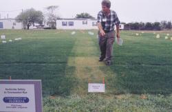 University of Florida Field Day, Dr. Phil Busy showing Sencor application to rye over seeded Bermudagrass.