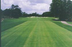 Boca Rio Country Club, Boca Raton, FL.  Bob Ranquist, Superintendent.  USGA specification soil on top four inches of tees.