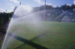 This was a Sports Turf Meeting at the city of Ft. Lauderdale where we did an irrigation audit and checked Precipitation and Uniformity of the irrigation system.