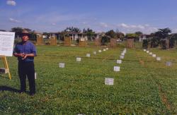 Dr. Phil Busey, University of Florida at the Field Day in Davie, FL showing an experimental plot of St. Augustine grass and Dollar Weed study with irrigation variables.