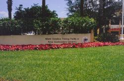 August 2002, Sports Turf Mangers Association, Florida Chapter meeting at Miami Dolphins Training Camp, in Davie, FL.  Casey Gifford, Sports Turf Manager.