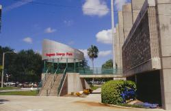 I lead the yearly tour at the Florida Turfgrass Association Show in Tampa, FL, this is Progress Energy Park (Al Lang Stadium).  It is home of the St. Petersburg Devil Rays and the Class A farm team of the Tampa Bay Devil Rays.