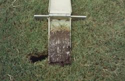 STMA, Florida Chapter # 1 meeting at the Village of Pinecrest.  This is one of their multi-purpose fields.  This is a soil profile taken of the multi-purpose fields with the Mascaro Profile Sampler