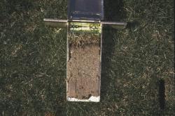 STMA Sports Field Tour at Rio Vista Park, AZ.  Here is a close up of the profile of one of the softball fields.  It is a sand based field that was sodded.  This is a soil profile taken with the Mascaro Profile Sampler 