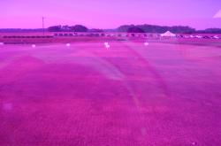 These are the same plots at the University of Florida with the turf fertilization study in Citra.  The Turf-Stress Detection Glasses is showing the difference in fertilization rates.