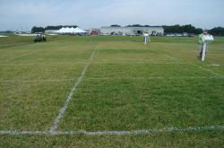 University of Florida Turfgrass Field Day in Citra, Florida looking out over some drought stress plots.