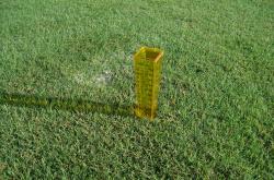 This time at FSU we set up the Precipitation / Uniformity Gauges in a grid pattern and ran the irrigation system for fifteen minutes.